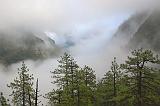 Fog-filled Yosemite Valley_22827